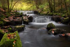 Herbst an der Sieg 