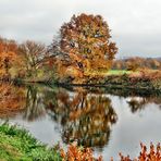 Herbst an der Sieg