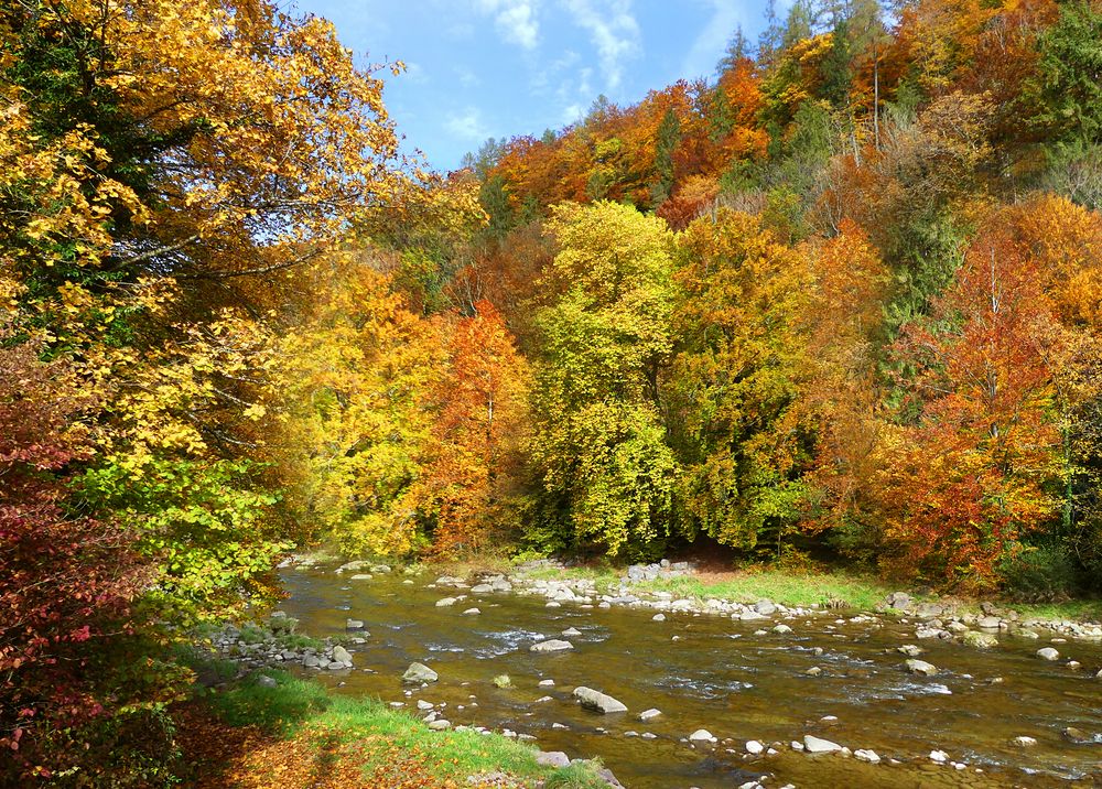 Herbst an der Sihl