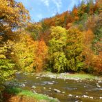 Herbst an der Sihl