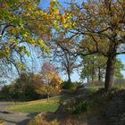 Herbst an der Sparrenburg