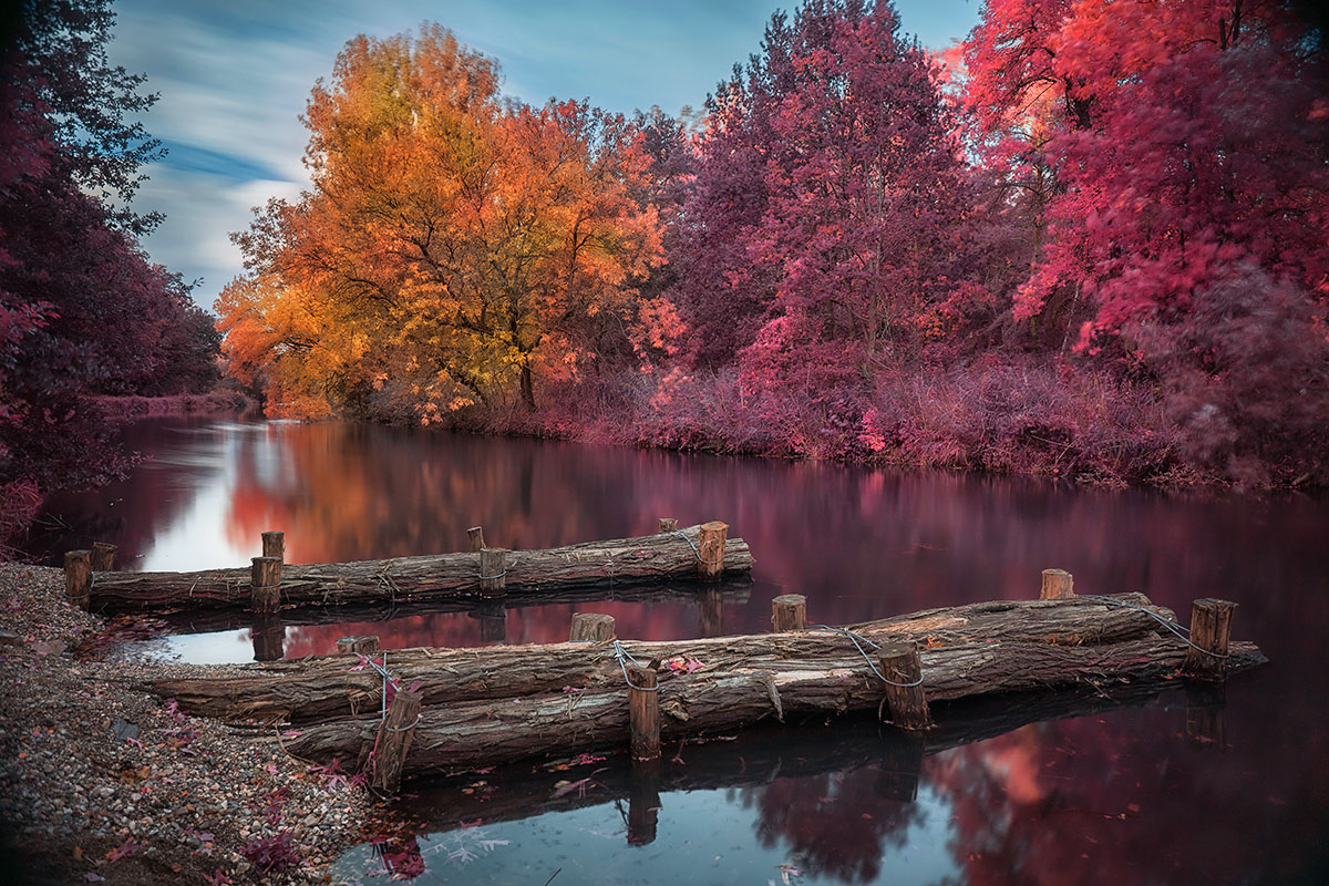 Herbst an der Spree