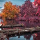 Herbst an der Spree