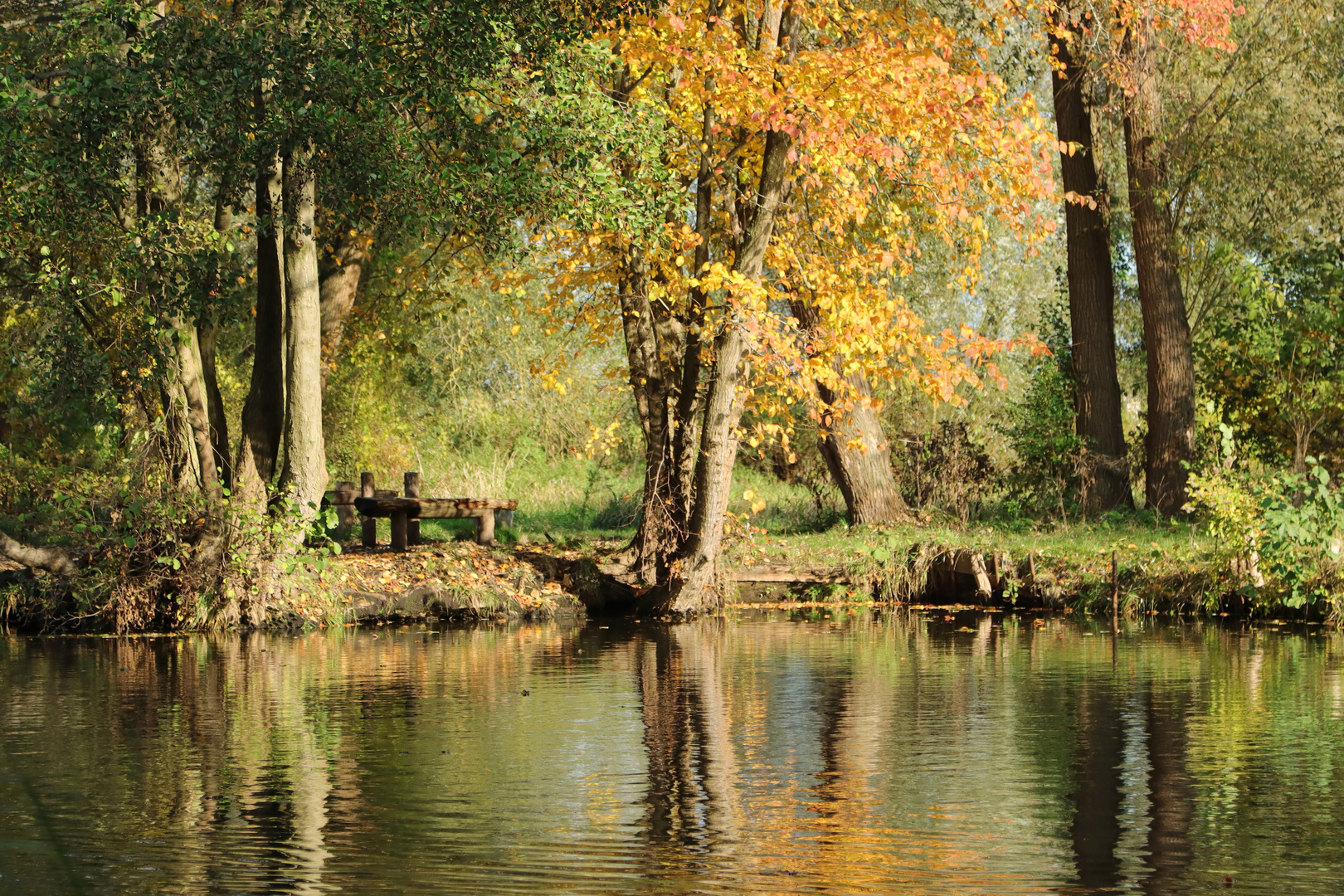 Herbst an der Spree 