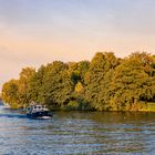 Herbst an der Spree