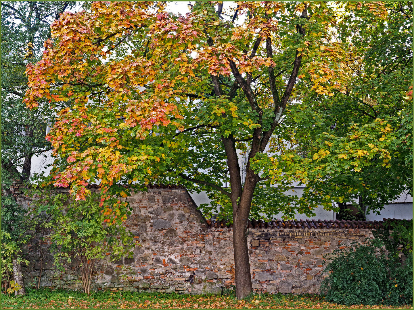 Herbst an der Stadtmauer von Kempten