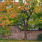 Herbst an der Stadtmauer von Kempten
