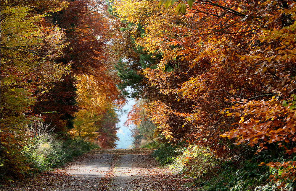 Herbst an der Steilstrecke