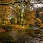 Herbst an der Steinach