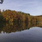 Herbst an der Steinbachverse 