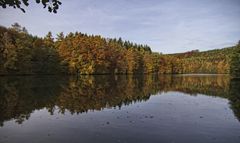 Herbst an der Steinbachverse 