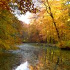 Herbst an der Stever