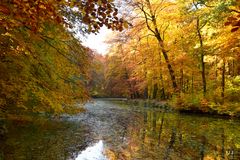 Herbst an der Stever