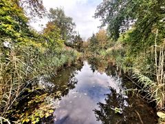 Herbst an der Stever