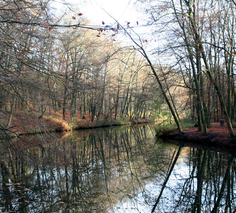 Herbst an der Stever