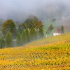 Herbst an der Südsteir, Weinstrasse