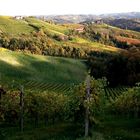 Herbst an der südsteirischen Weinstrasse irgendwo bei Graz.