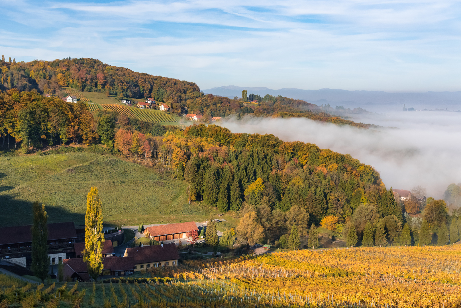 Herbst an der Südsteir,Weinstrasse 1