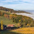 Herbst an der Südsteir,Weinstrasse 1