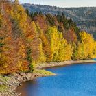 Herbst an der Talsperre