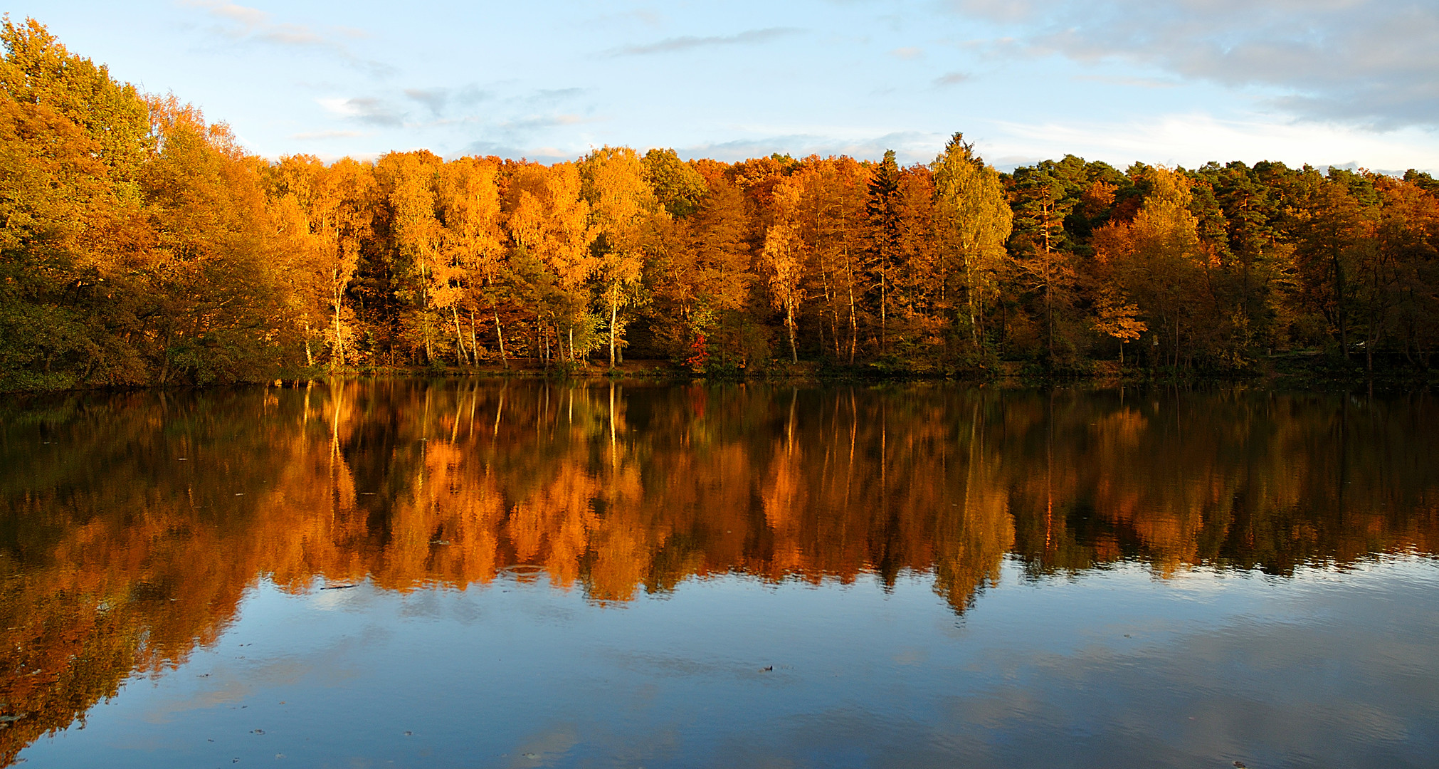 Herbst an der Talsperre