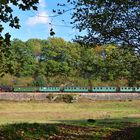 Herbst an der Talsperre Malter