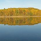 Herbst an der Talsperre Pöhl IV