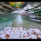 Herbst an der Taugl