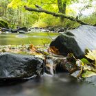 Herbst an der Tettau