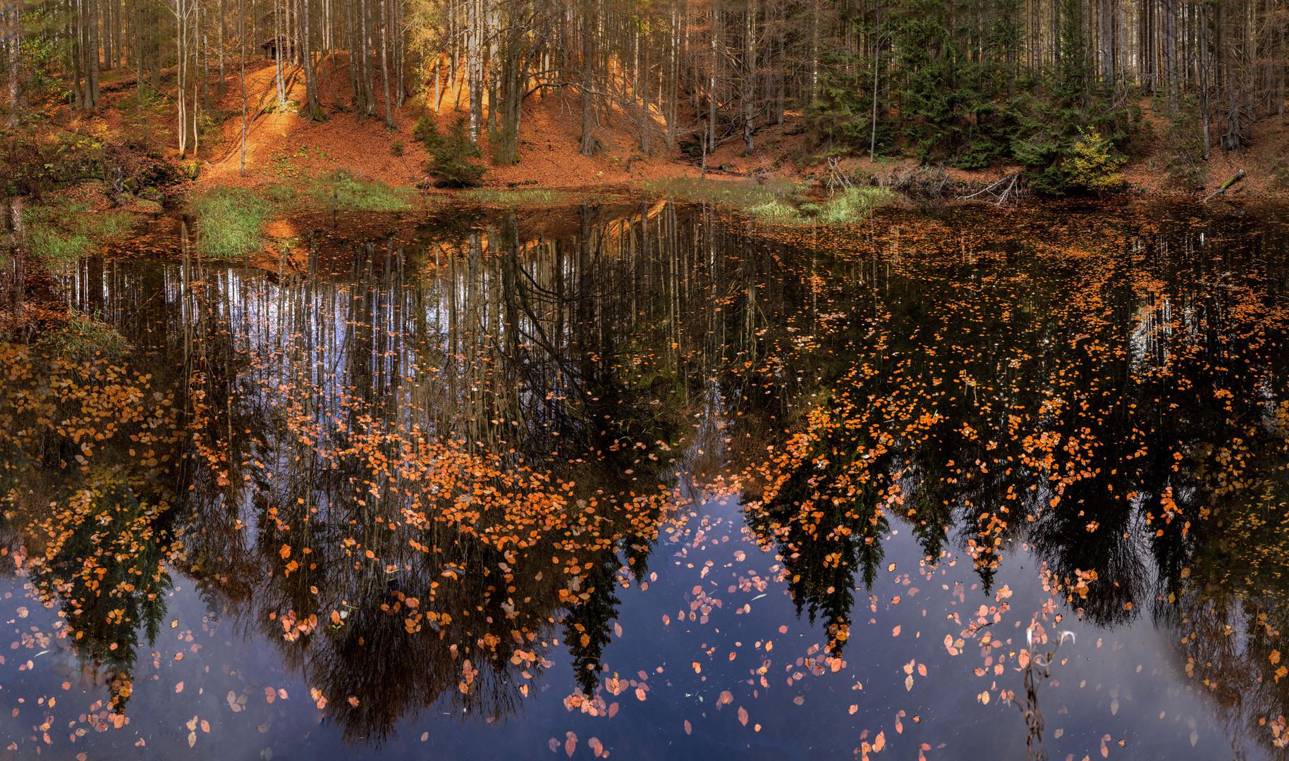 Herbst an der Teufelsbachklause im Bayerischen Wald