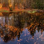 Herbst an der Teufelsbachklause im Bayerischen Wald