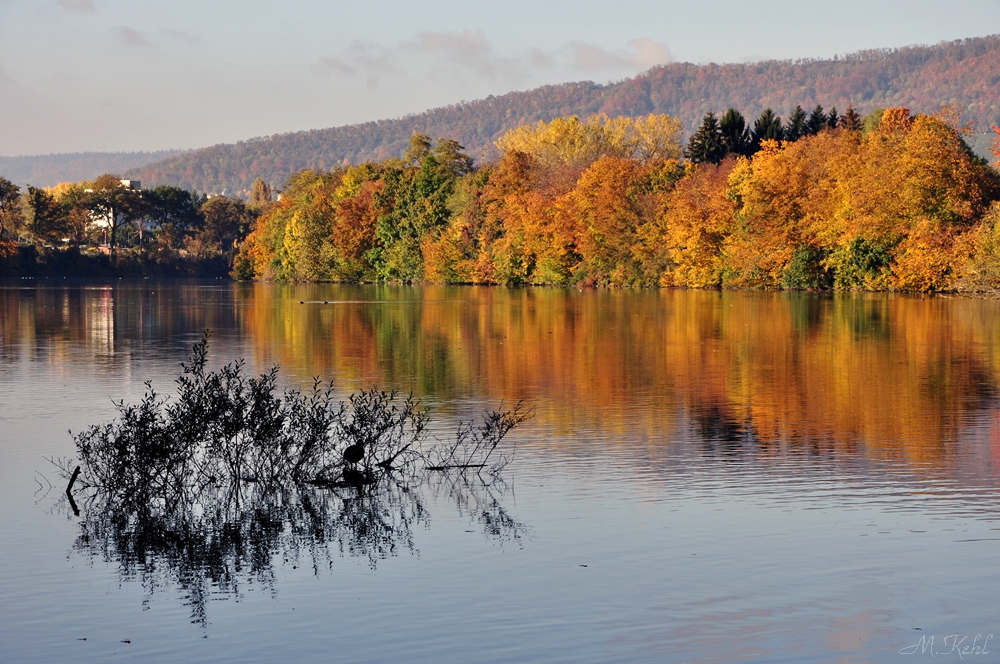 Herbst an der traumhaften  Limmat