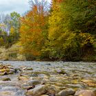 Herbst an der Unteren Argen 