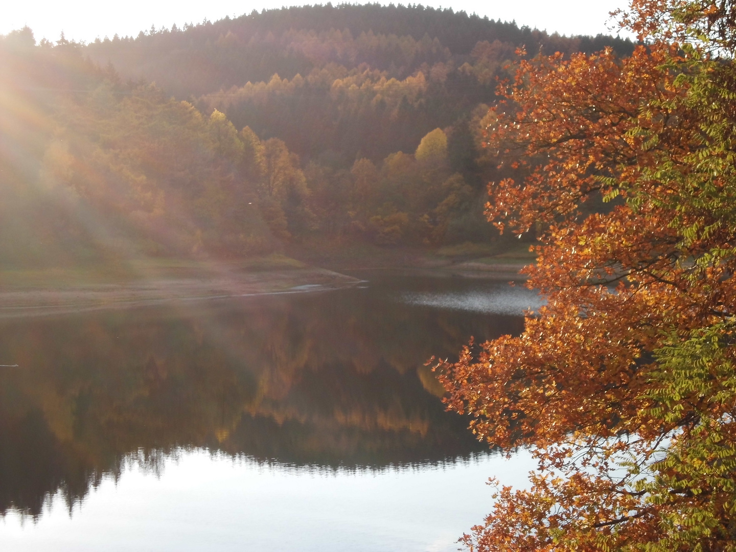 Herbst an der Verse