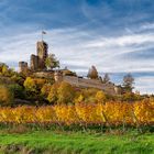 Herbst an der Wachtenburg