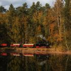 Herbst an der Waldeisenbahn