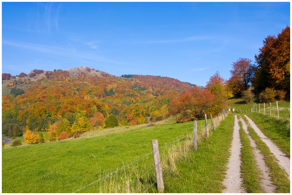 Herbst an der Wasserkuppe