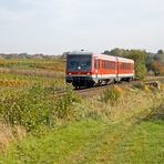 Herbst an der Weinstraße