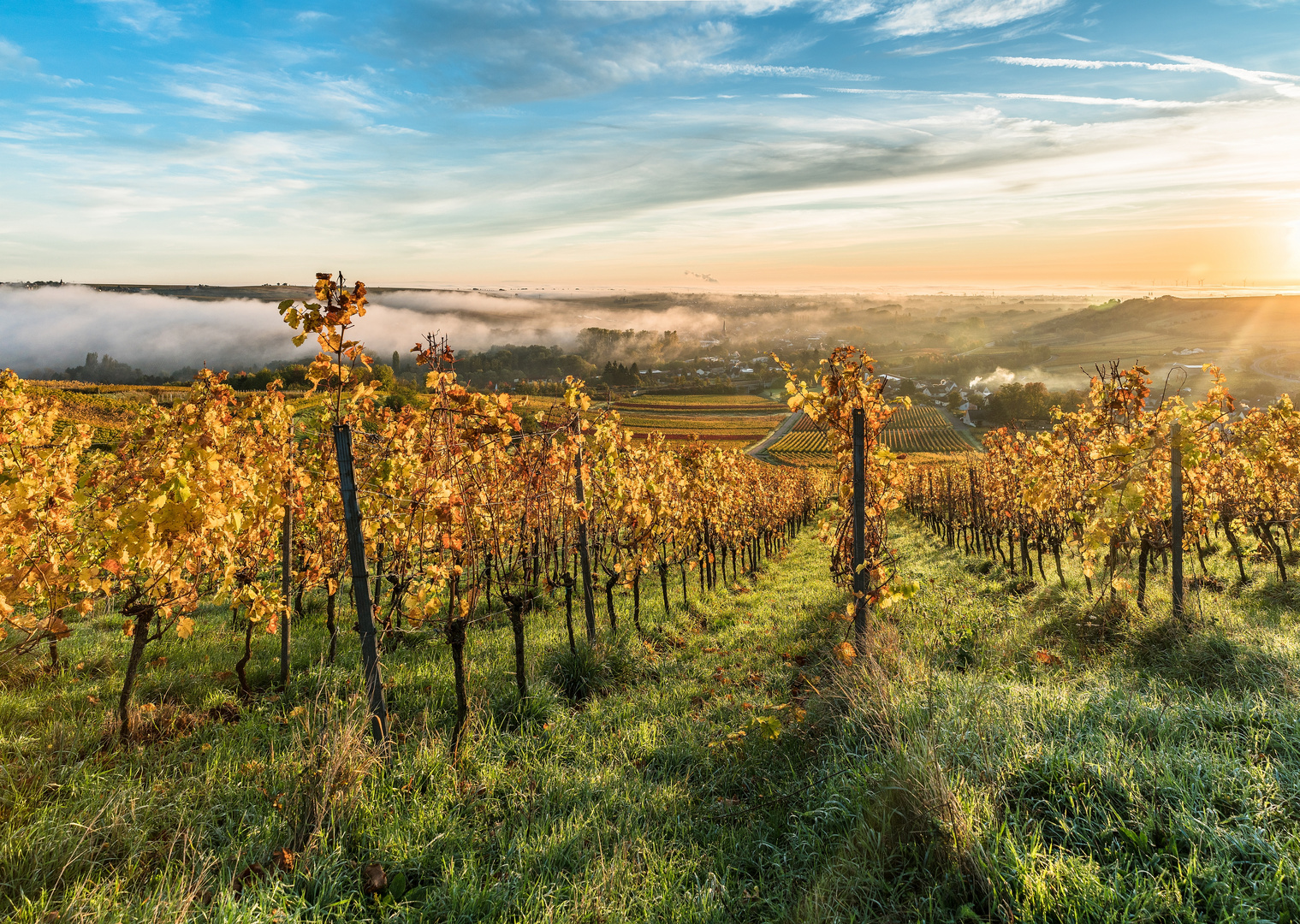 Herbst an der Weinstraße