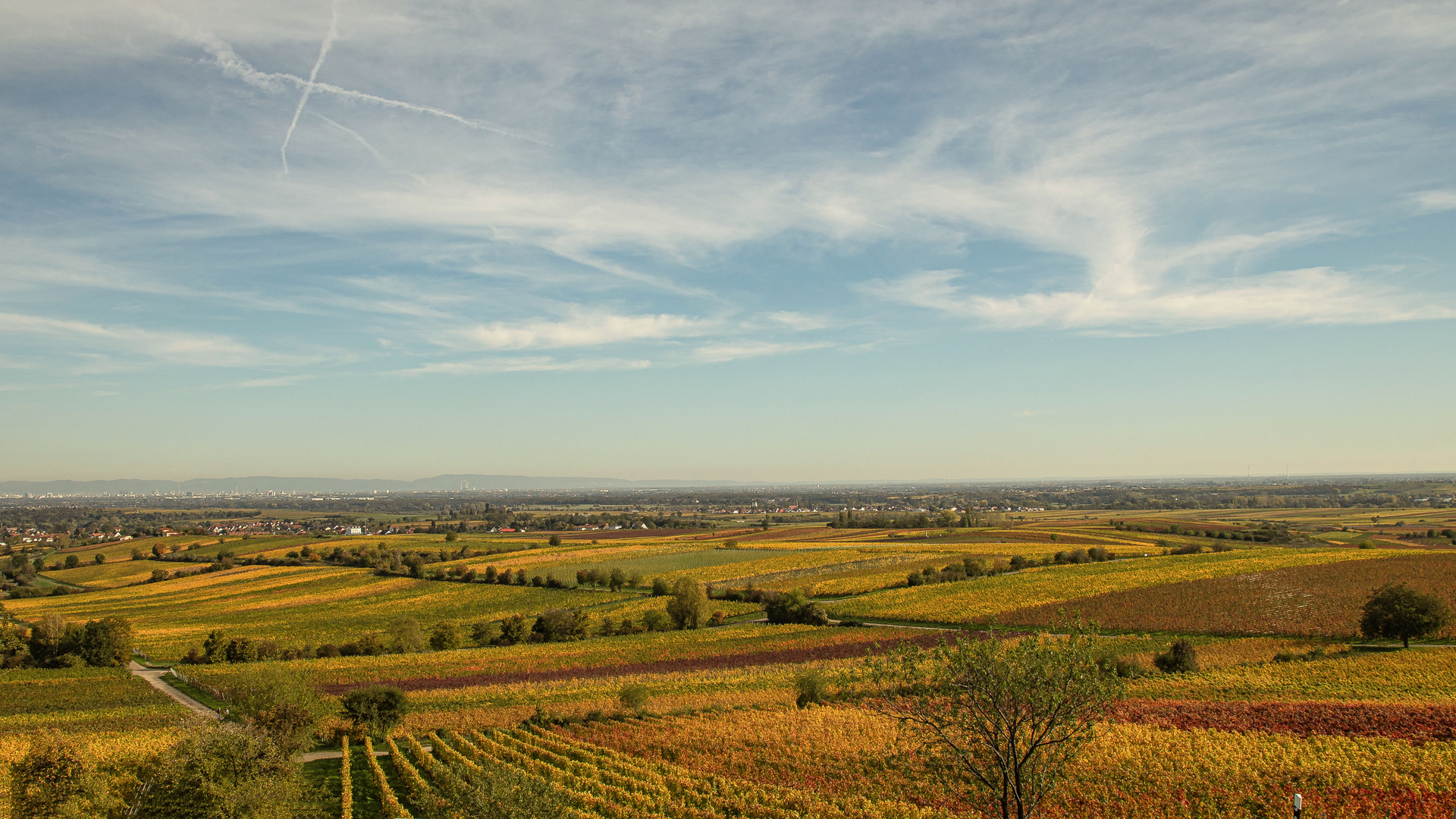 HERBST AN DER WEINSTRASSE