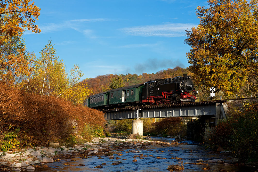 Herbst an der Weißeritz