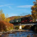 Herbst an der Weißeritz