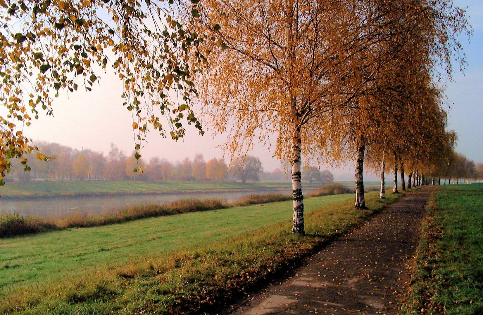 Herbst an der Weser