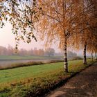 Herbst an der Weser