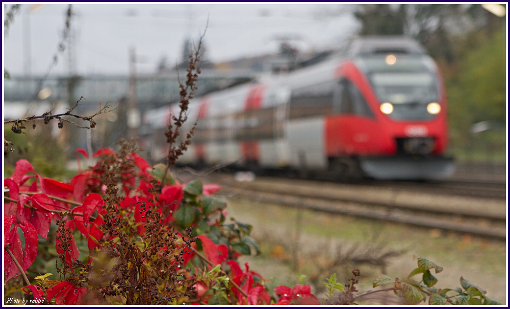 Herbst an der Westbahn