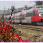 Herbst an der Westbahn