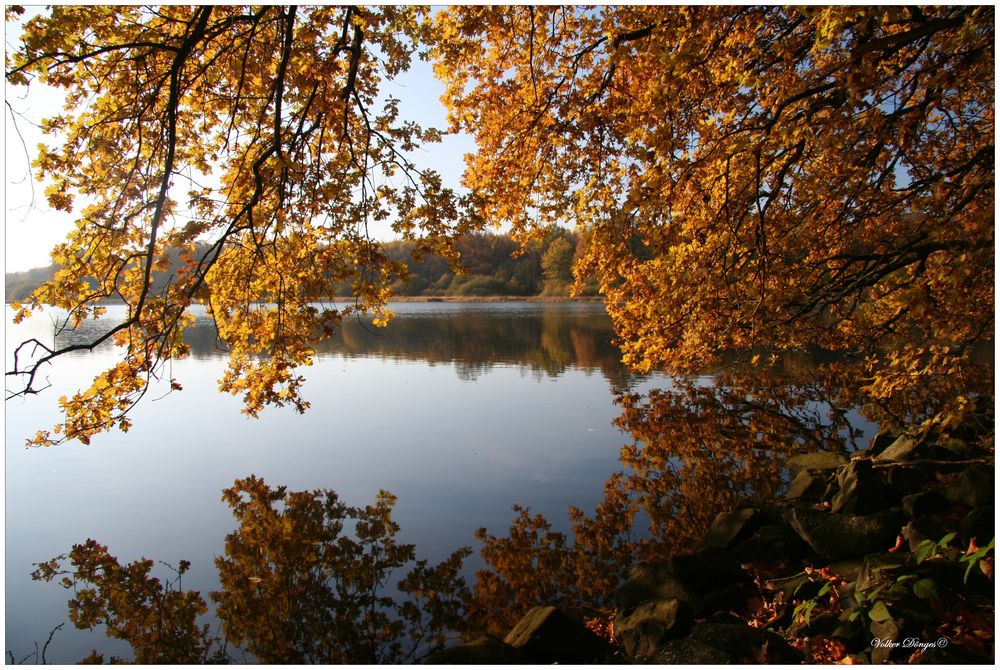 Herbst an der Westerwälder Seenplatte Portfolio von Volker Dönges