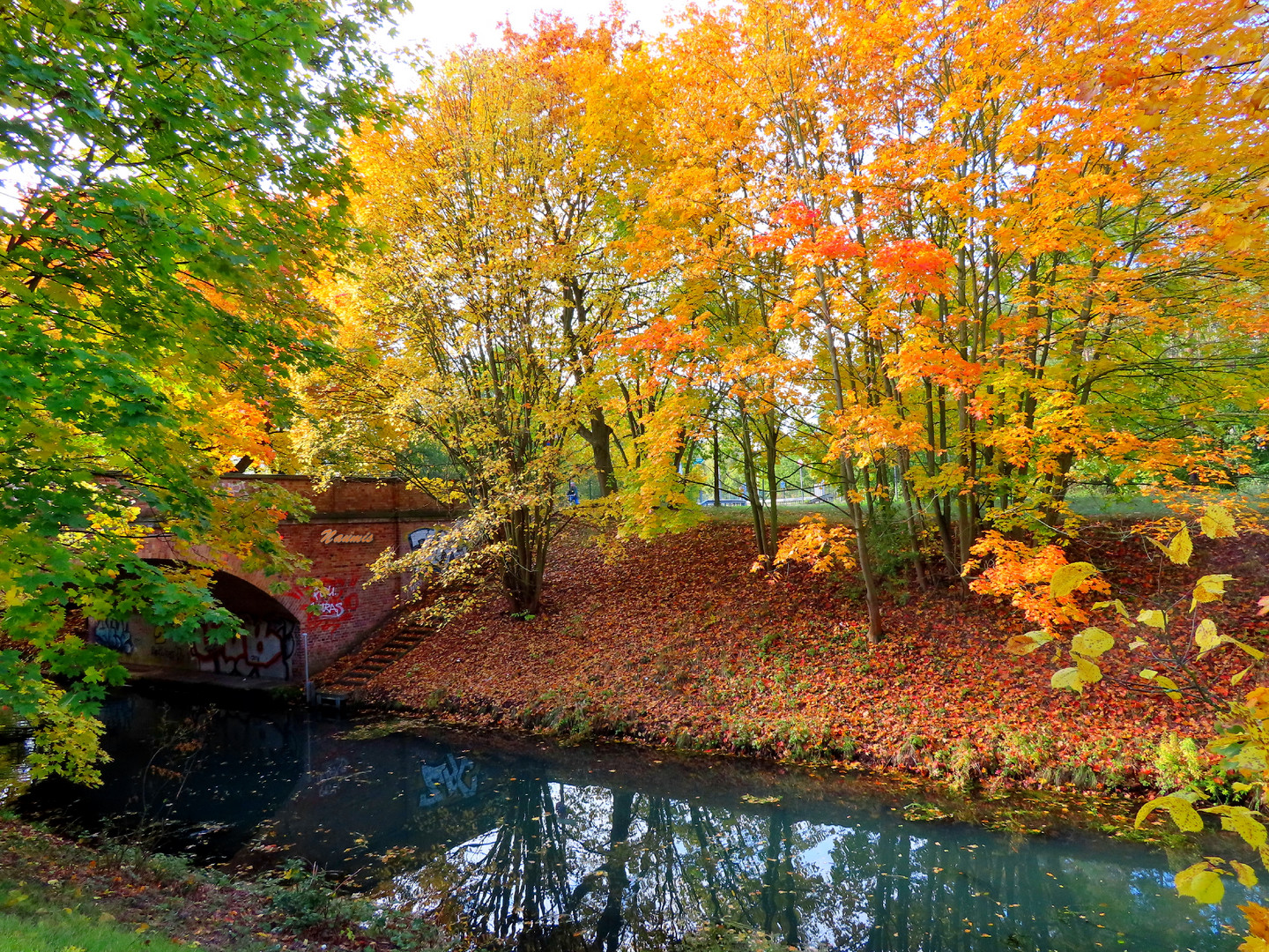  Herbst an der Wuhle