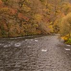 Herbst an der Wupper