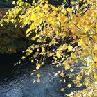 Herbst an der Wupper